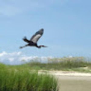 Meet your Posher, Devon